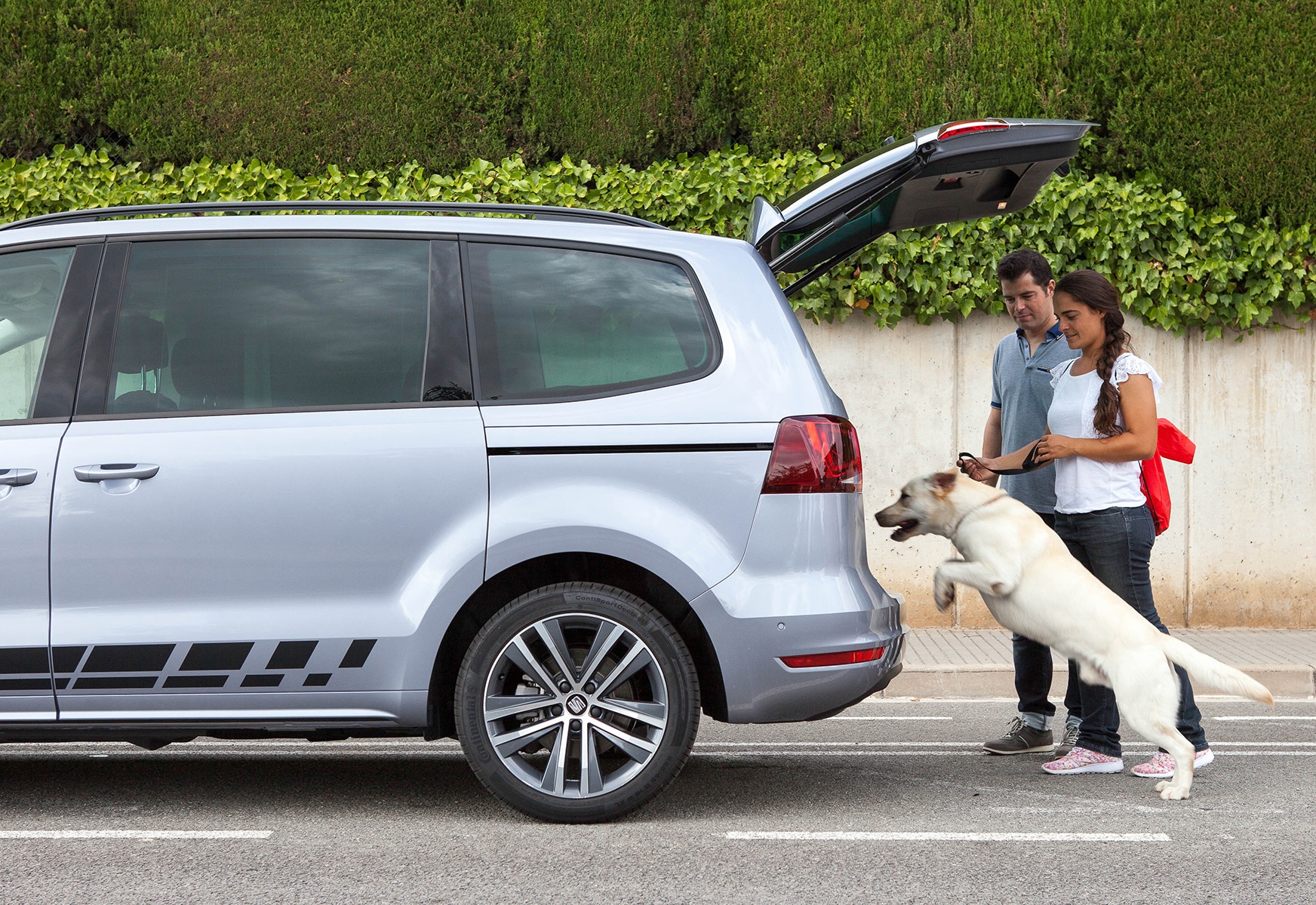 Dog jumping into the car