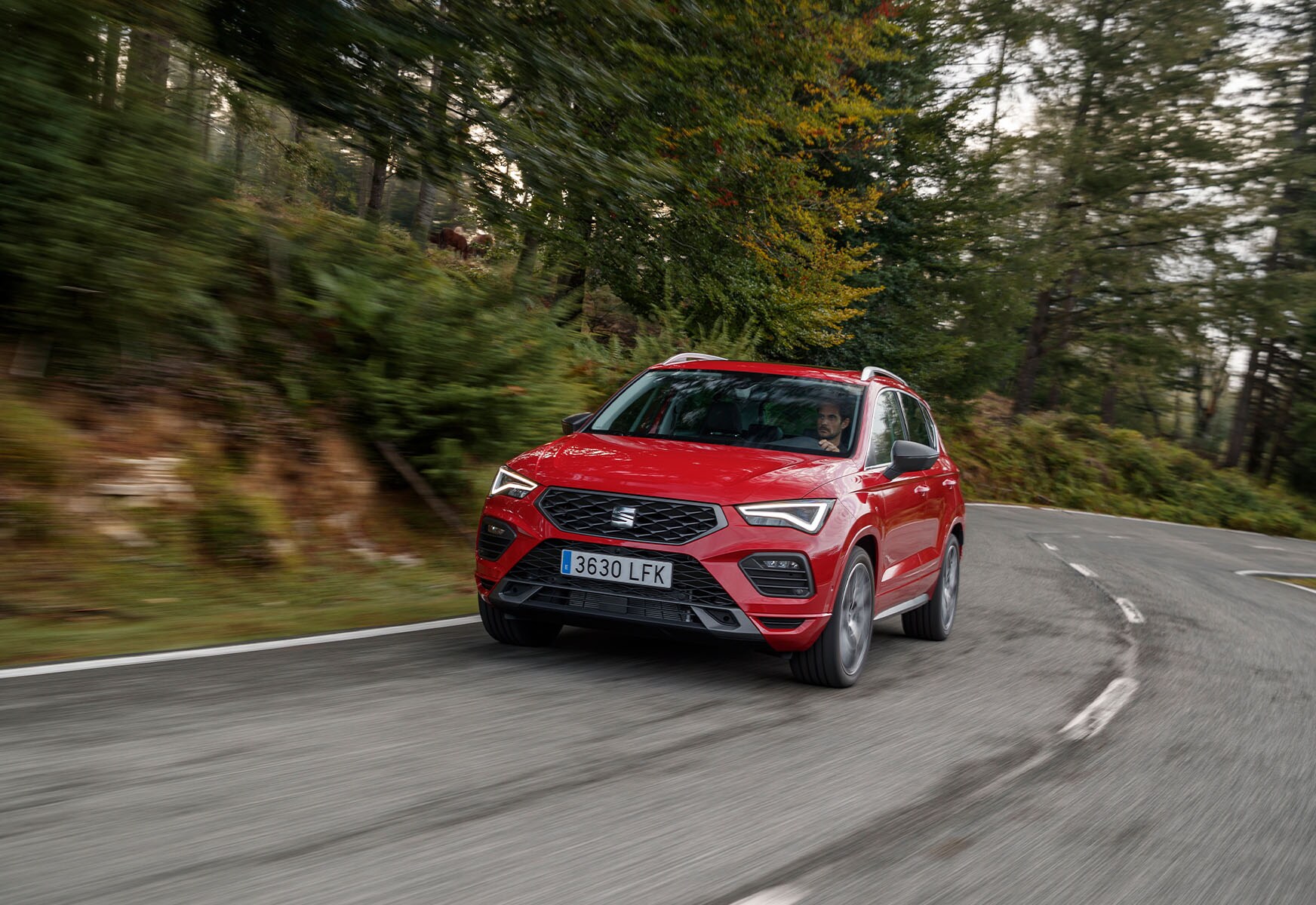 Red SUV driving towards 