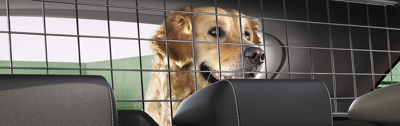Seat ateca dog cage outlet